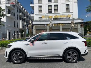 Xe Kia Sorento Signature 2.2 AT AWD 2024